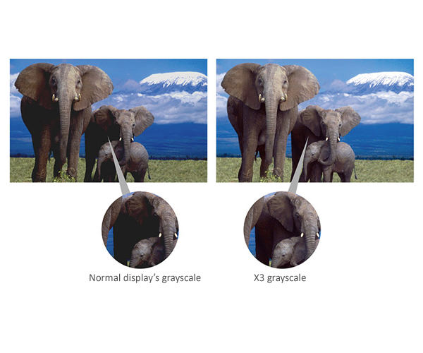 Vivid Image with Low Brightness and High Grayscale